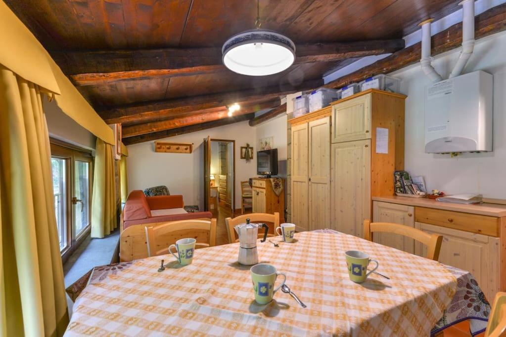 38-Volpini House In Amiata - Val D'Orcia, Saturnia, Feste&Sagre Castel del Piano  Extérieur photo